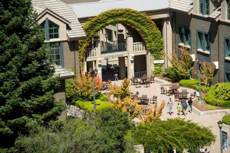 The Haas School of Business courtyard, with greenery, trees, and ivy all around.