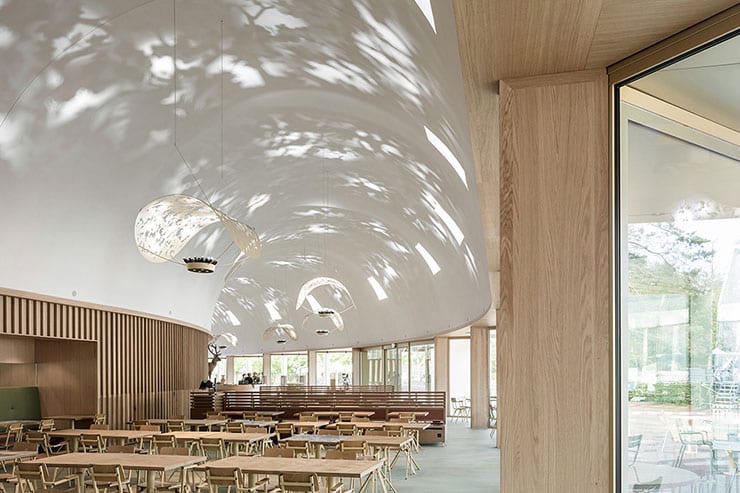 In a wide, bright, natural wood dining pavilion, lighting mimics sunlight through leaves for the benefits of biophilia