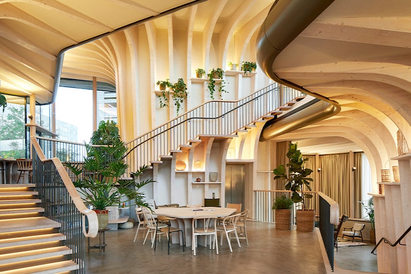 A warmly lit room with plants, arching wooden walls, and an open stairway leading to a glass wall looking out into a garden for the benefits of biophilia