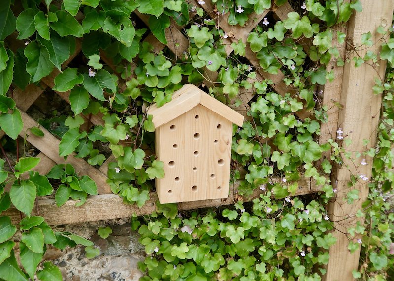 A bee hotel made of wood with drilled holes