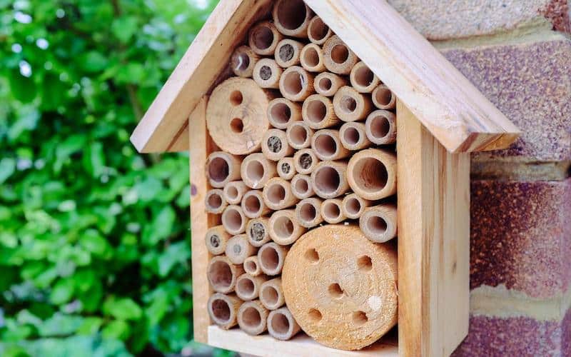 A bee hotel made with reeds