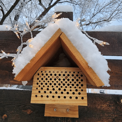 A bee hotel protected from the snow by a roof