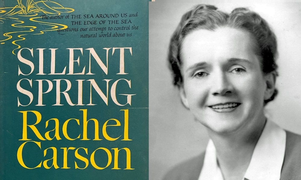 Rachel Caron's book, Silent Spring, helped launch the sustainable design movement.