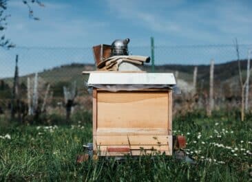 fun bee facts are displayed in this photo of a beehive with a smoker and gloves on its top cover