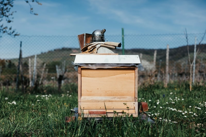fun bee facts are displayed in this photo of a beehive with a smoker and gloves on its top cover