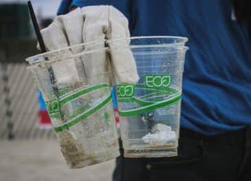 greenwashing includes putting eco on plastic cups