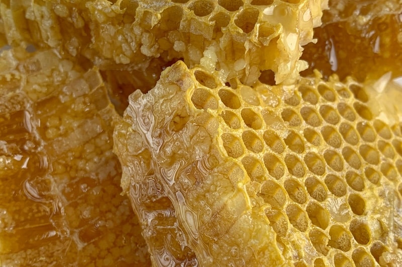 honeycomb-header