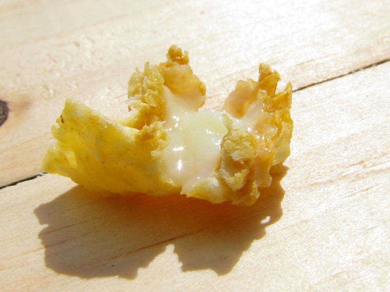 Royal jelly in a piece of honeycomb