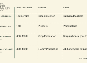 this infographic depicts a graph that shows the distinctions between commercial beekeeping and other types of beekeeping