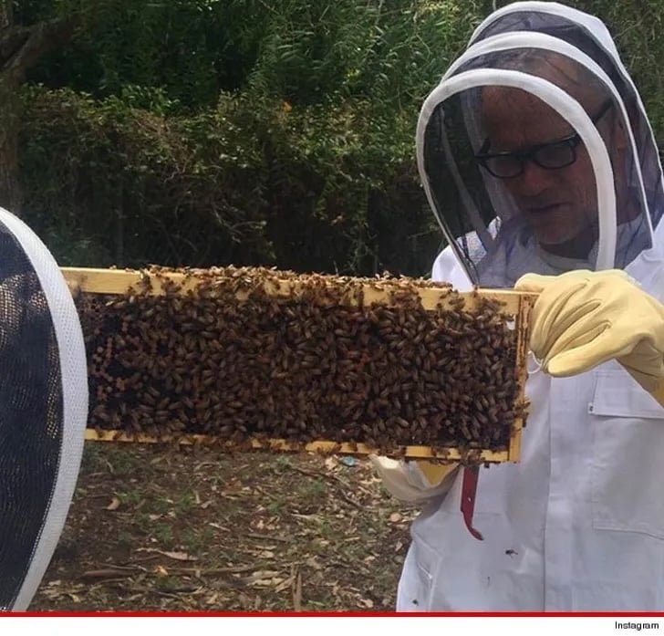 Flea holding up a frame of bees