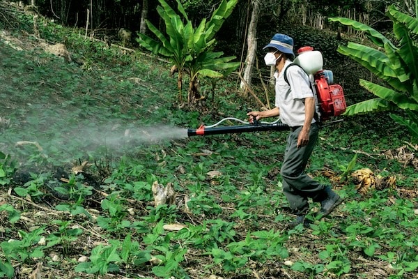 A farmer spraying pesticides on their fields