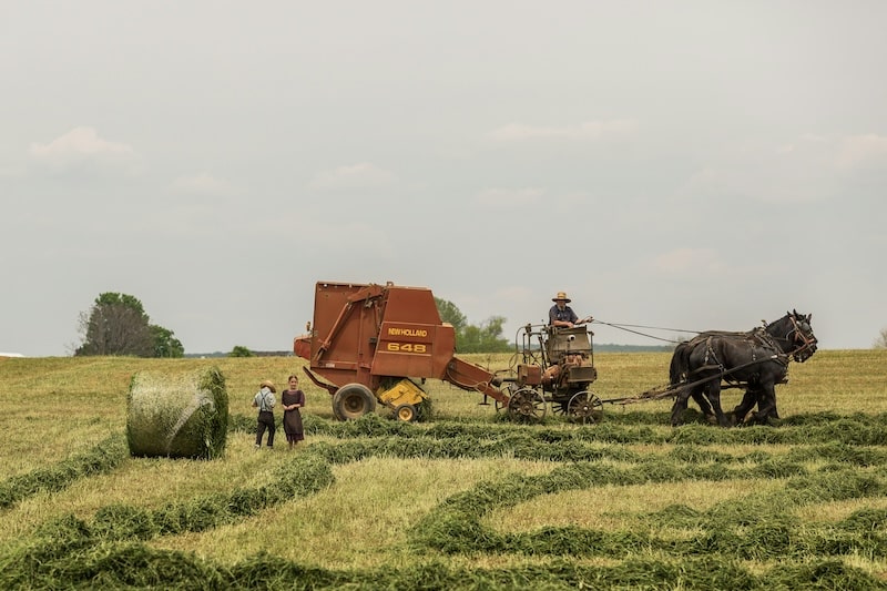 A family farming, with a horse-drawn tractor, during the homesteading boom in the 70s