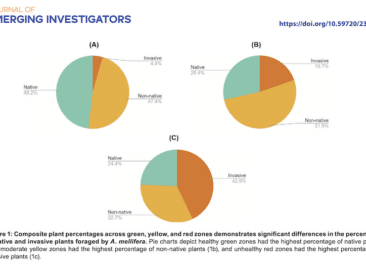 graphs from the research paper