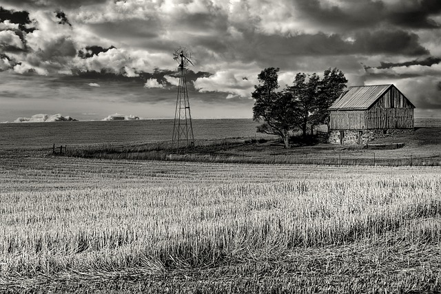 an old homestead with a windmill