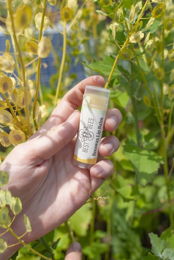 hand holding out a tube of lip balm with leaves in the background