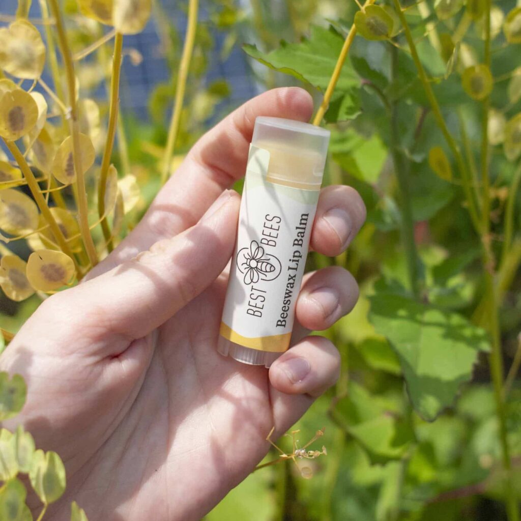 Hand holding out a tube of lip balm with leaves in the background