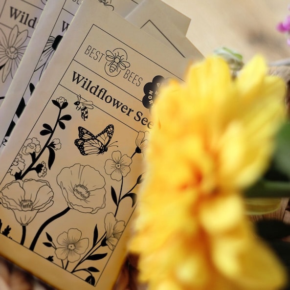 brown paper seed packets behind a yellow flower