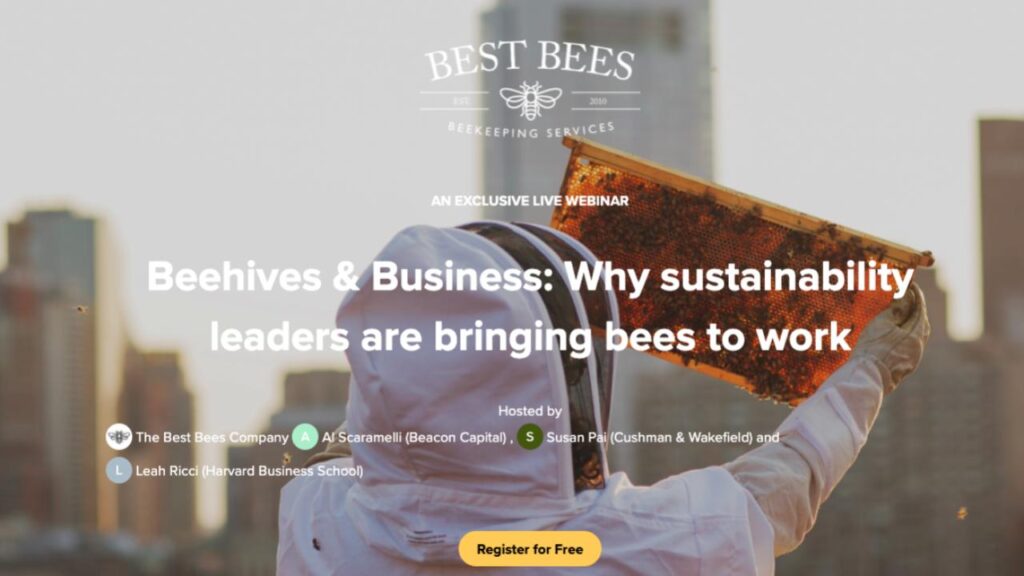 Beehives and business webinar thumbnail