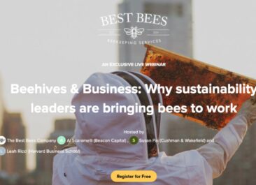 Beehives and business webinar thumbnail