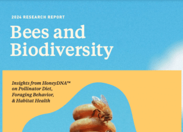 bees and biodiversity report thumbnail