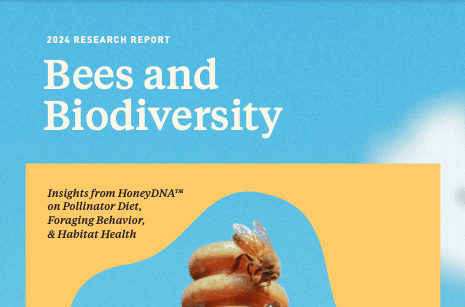 bees and biodiversity report thumbnail