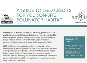 teaser of a white paper about leed credits