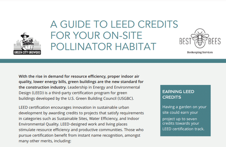 teaser of a white paper about leed credits