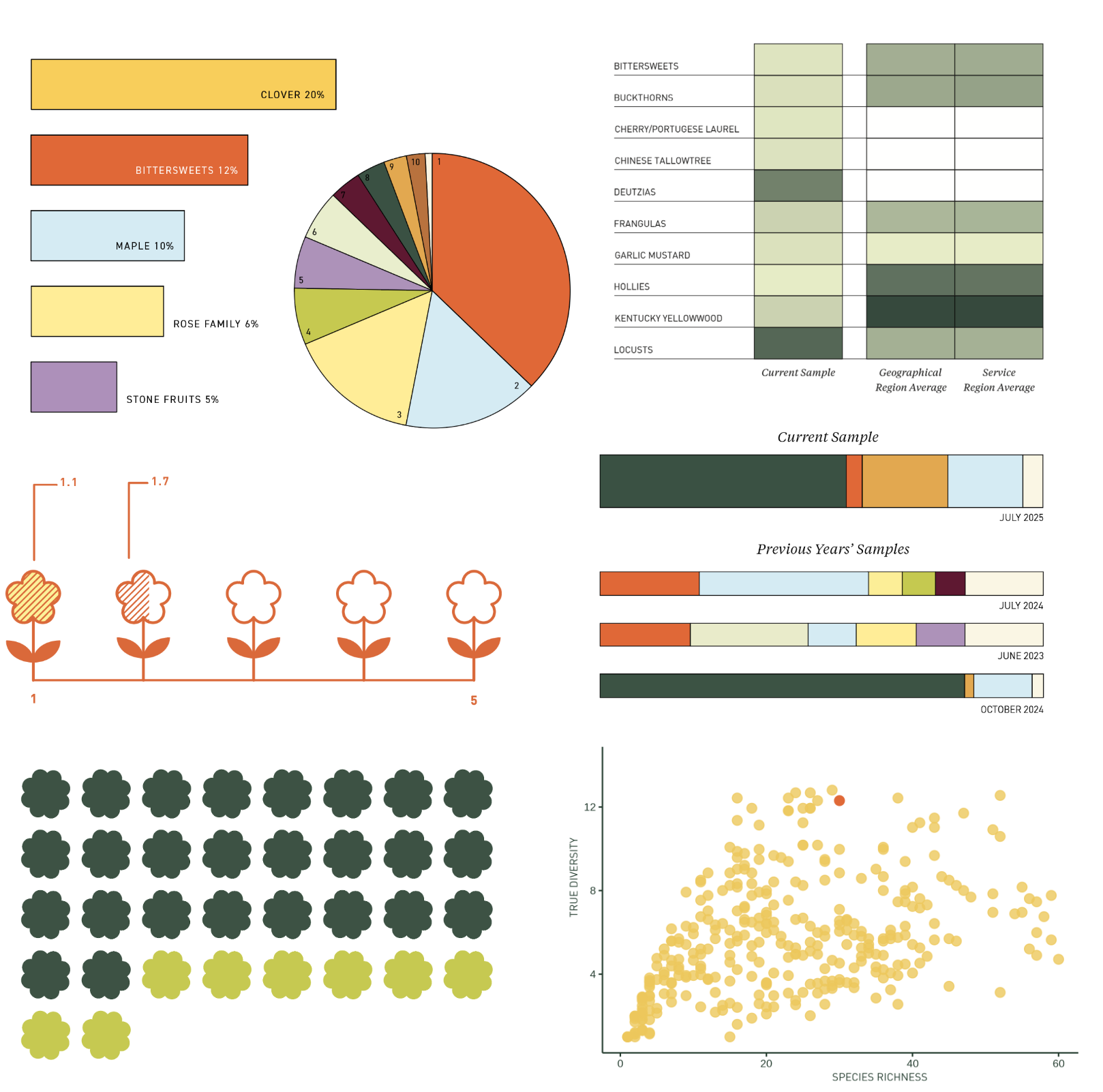 Graphs & charts dislaying unspecified biodiversity data in honeydna report