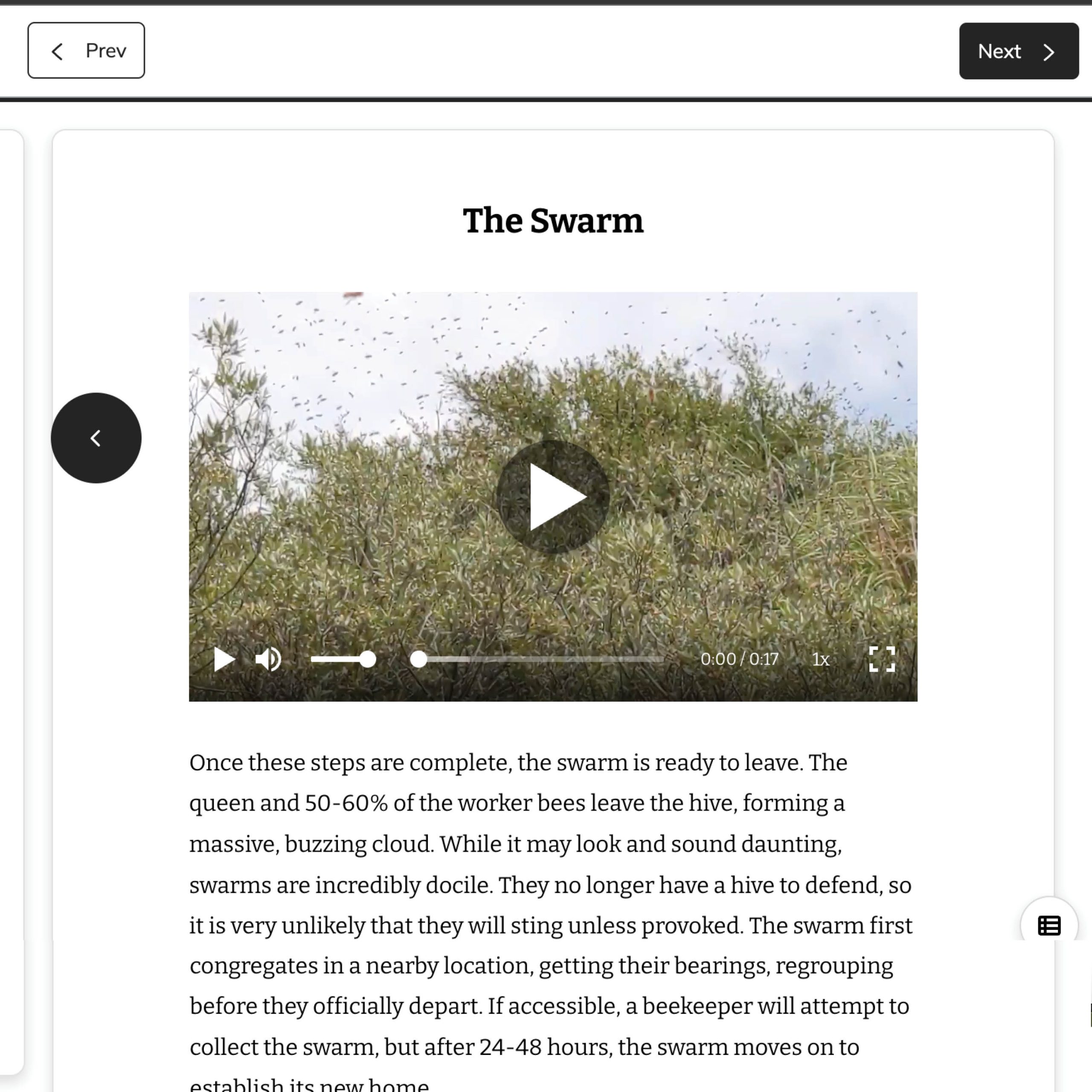 Landingpage3