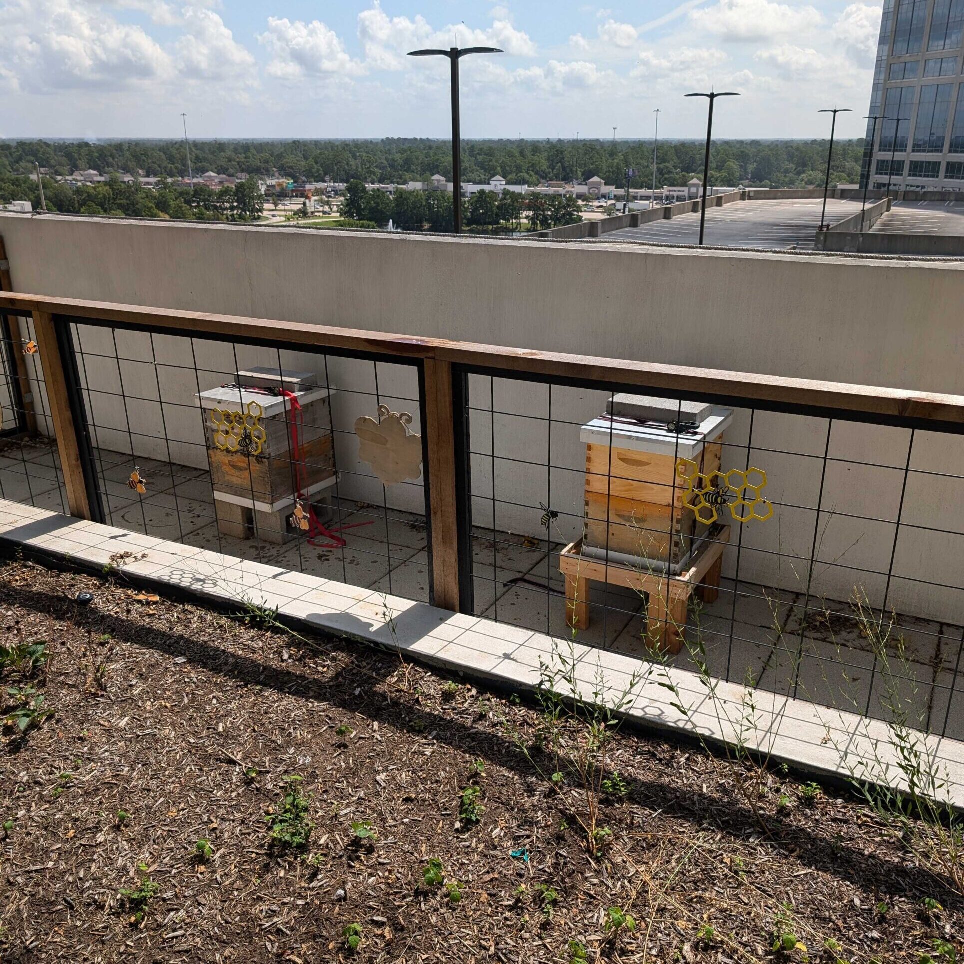 Two Beehives at Howard Hughes The Woodlands, TX