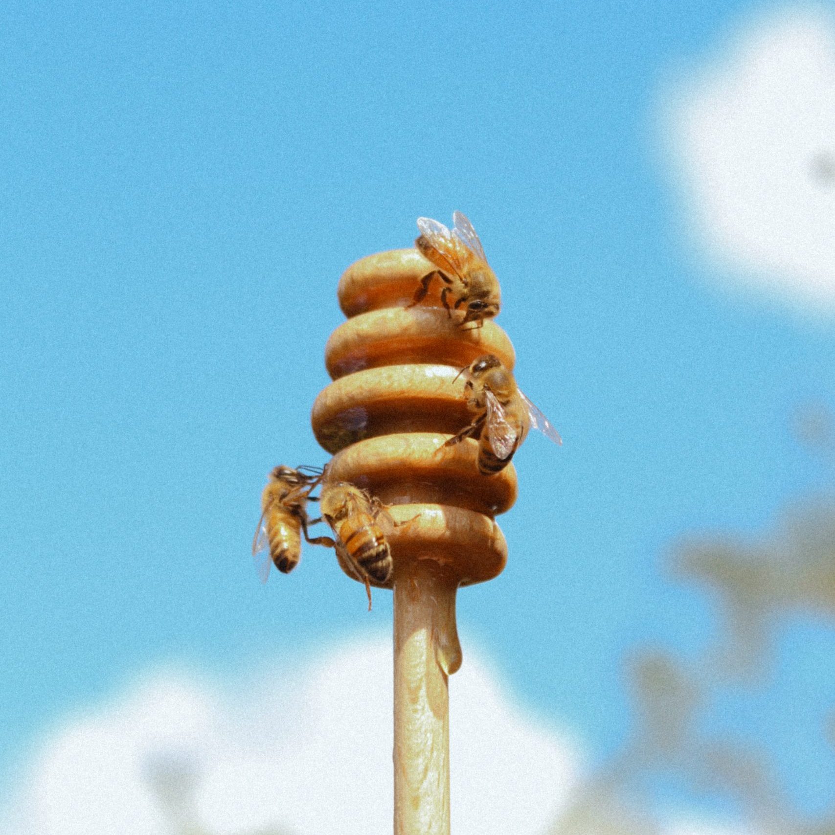 Retail honey september 2021-18