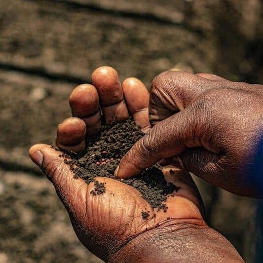 A person of color holds soil with seeds spilled across it in the palm of their hand